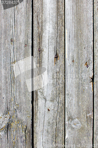 Image of old natural wood textures