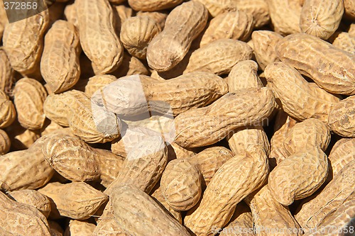 Image of peanuts in shells