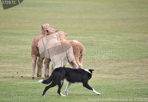 Image of getting away