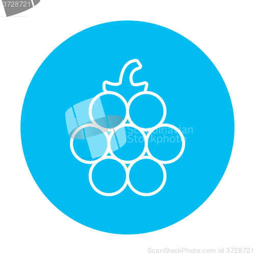 Image of Raspberry line icon.