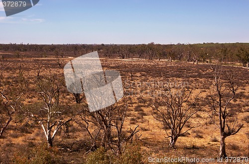 Image of hard dry land