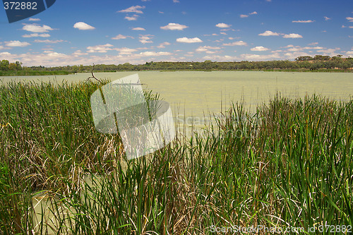Image of wetlands