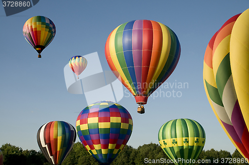 Image of Hot-air balloons ascending or launching at a ballooning festival