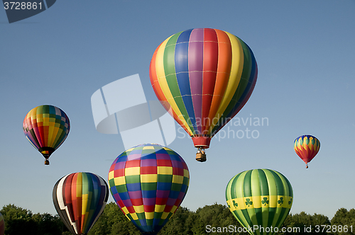 Image of Hot-air balloons ascending or launching at a ballooning festival