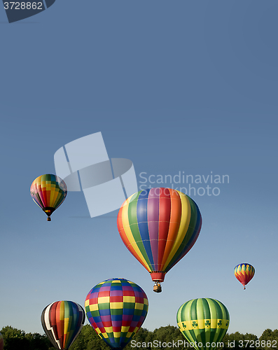Image of Hot-air balloons ascending or launching at a ballooning festival