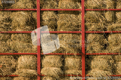 Image of Hay bales piled within a cart