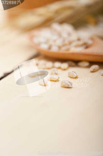 Image of organic wheat grains 