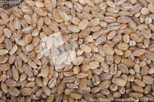 Image of organic barley grains