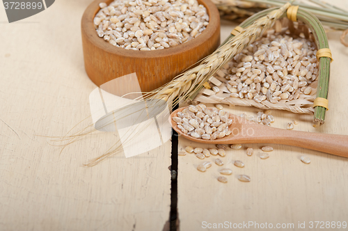Image of organic wheat grains 