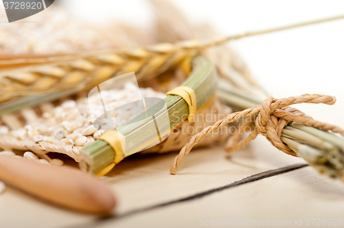 Image of organic wheat grains 