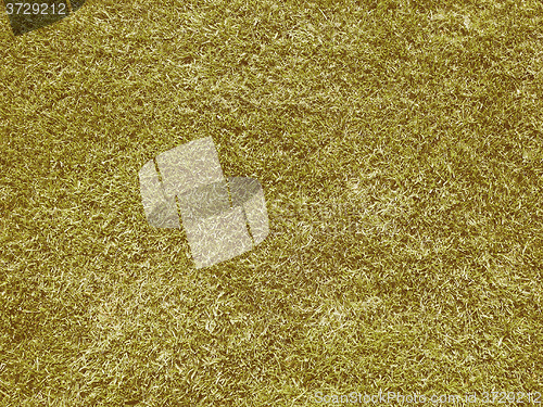Image of Retro looking Green grass meadow background