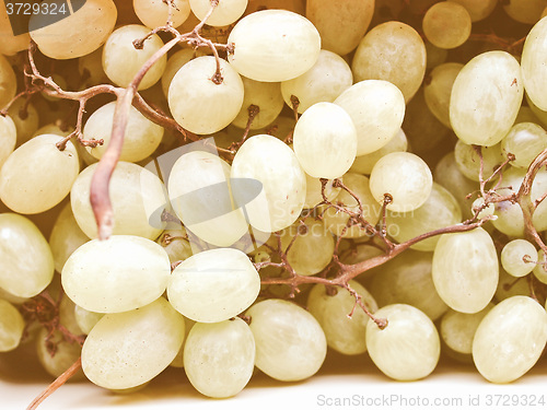 Image of Retro looking Grape picture