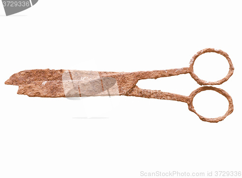 Image of  Rusted scissors vintage