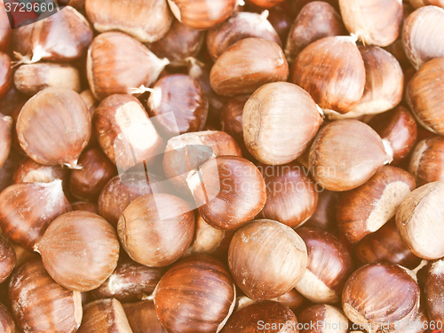 Image of Retro looking Chestnuts picture