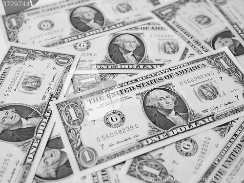 Image of Black and white Dollar notes 1 Dollar