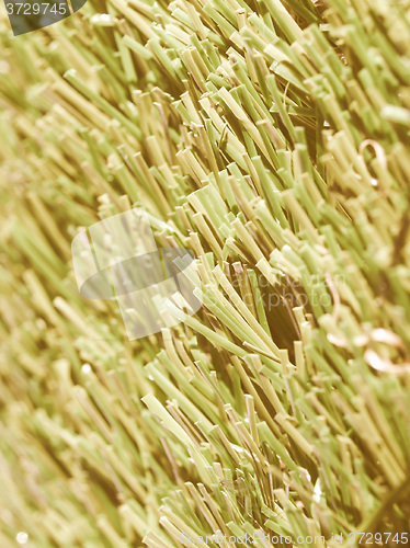 Image of  Artificial grass vintage