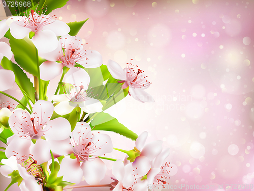 Image of Spring border background. EPS 10