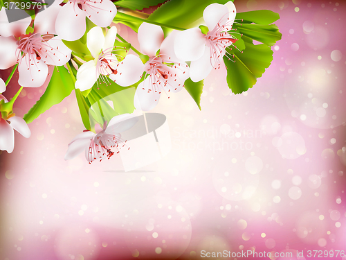 Image of Spring border background. EPS 10