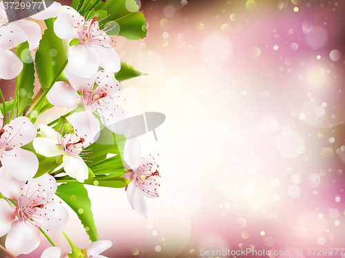 Image of Spring border background. EPS 10
