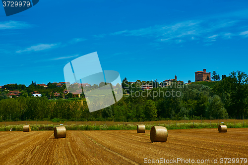 Image of big roll harvested straw on the mown field 