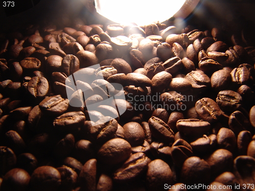 Image of Coffee beans