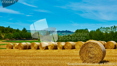 Image of big roll harvested straw on the mown field 