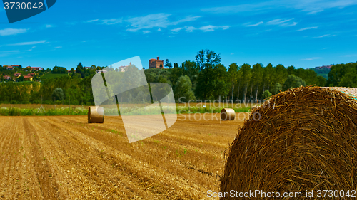 Image of big roll harvested straw on the mown field 