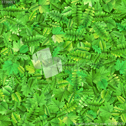 Image of Green leafs background. EPS 10