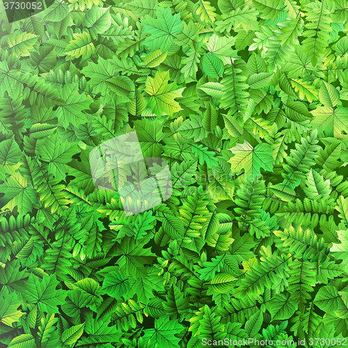 Image of Green leafs background. EPS 10