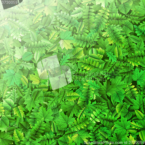 Image of Green leafs background. EPS 10