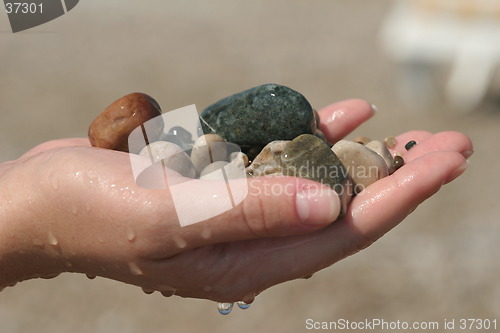 Image of Sea Side Stones