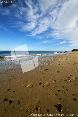 Image of footstep musk pond  coastline and summer 