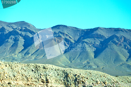 Image of bush  in       morocco     africa the atlas dry    