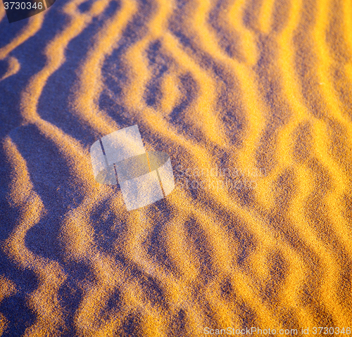 Image of africa the brown sand dune in   sahara morocco desert line