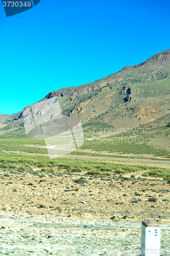 Image of brown bush  in             africa the atlas dry mountain  