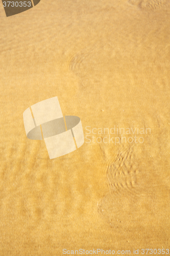 Image of morocco in africa brown coastline wet sand beach near 