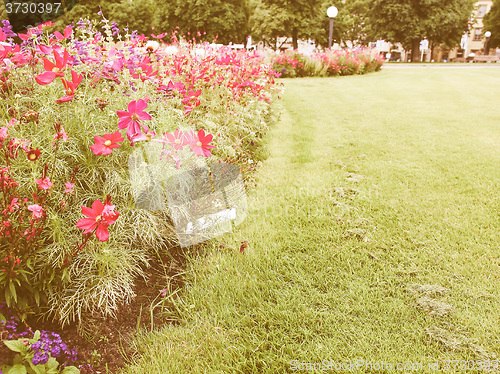 Image of Retro looking Flowers
