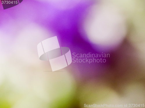 Image of Retro look Abstract blur