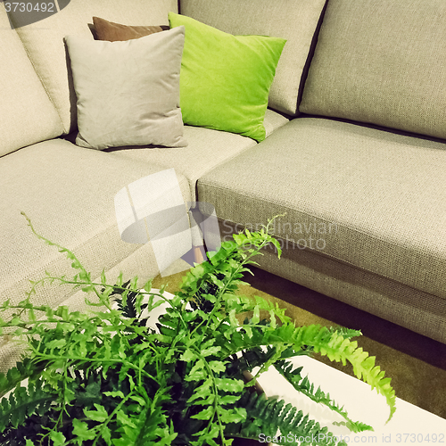 Image of Corner sofa and fern plant decoration