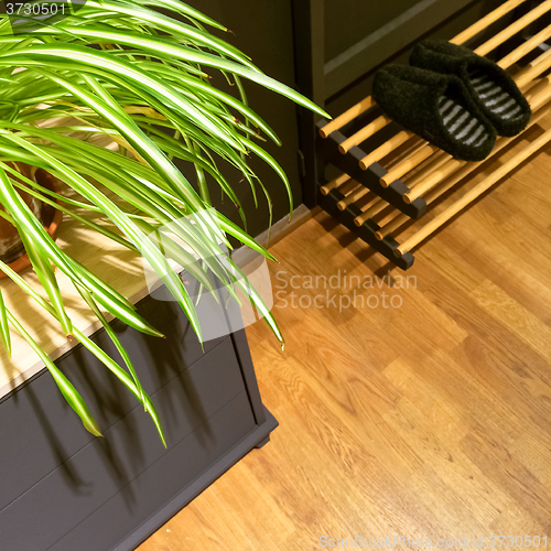 Image of Entrance hall with plant and slippers on shoe rack