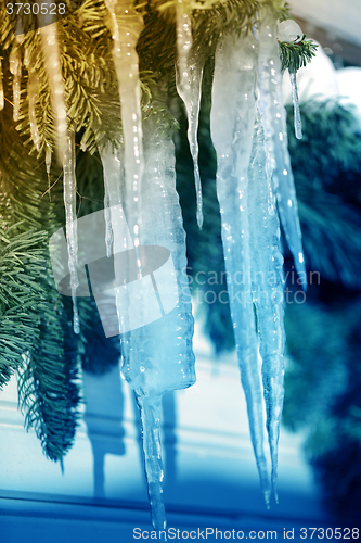 Image of  icicles from  ice