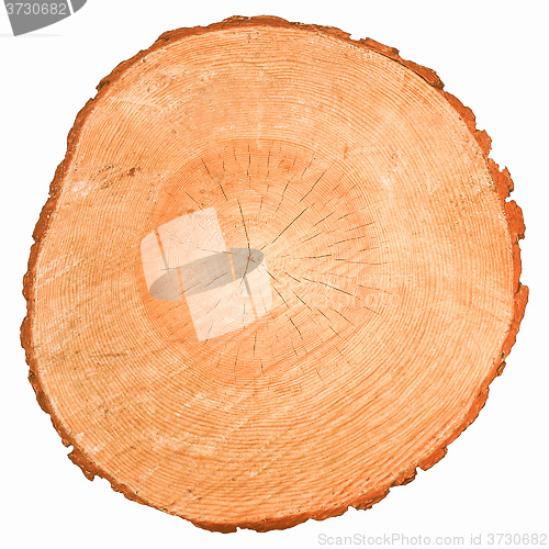 Image of  Wood vintage