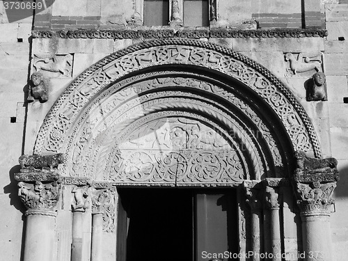 Image of Black and white Santa Fede Cavagnolo