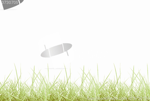 Image of Retro looking Meadow