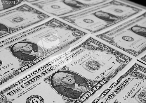 Image of Black and white Dollar notes 1 Dollar