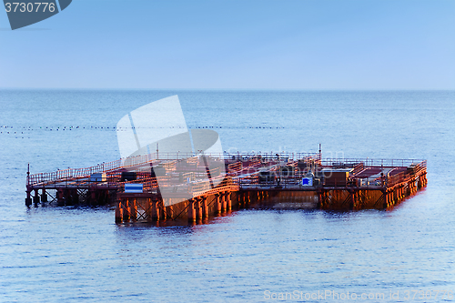 Image of Mussel Farm