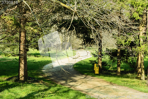 Image of Path In The Park