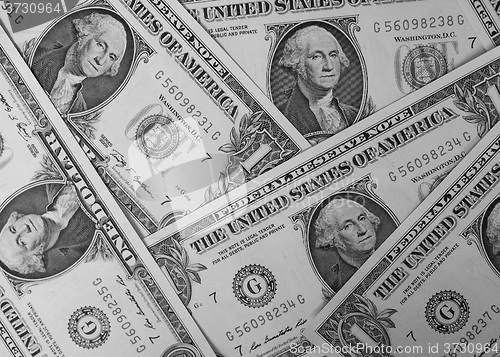 Image of Black and white Dollar notes 1 Dollar