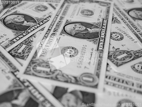 Image of Black and white Dollar notes 1 Dollar