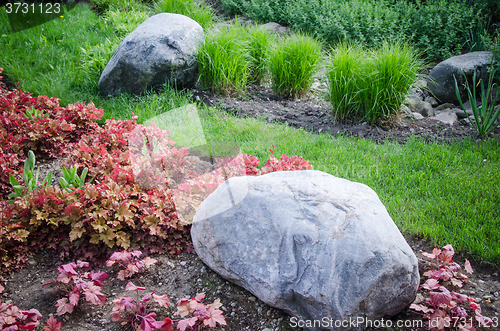 Image of Decorative flower bed in a garden with rocks and plants, close-u